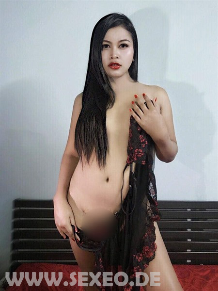 Trans-Lena_1773533243658